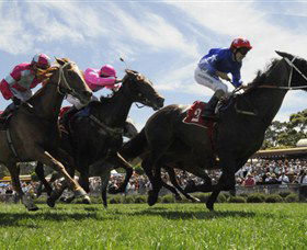 Moruya Racecourse - C Tourism 0