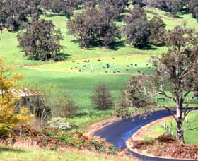Blackwood River Tourist Drive - C Tourism 0