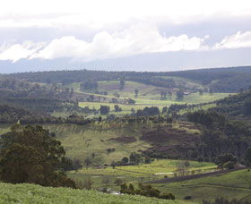 Blackwood River Tourist Drive - C Tourism 2