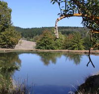 Oak Grove Walk Balingup - C Tourism