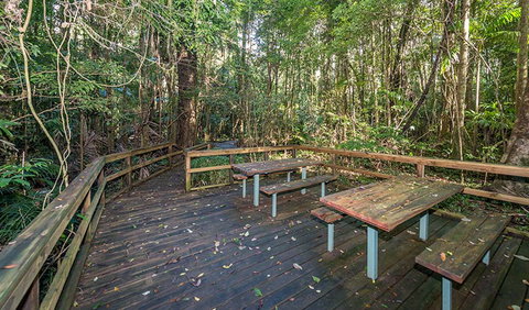 Starrs Creek Picnic Area - C Tourism 1
