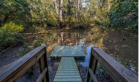 Brimbin Picnic Area - C Tourism 1