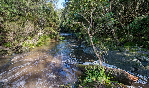 Brimbin Picnic Area - C Tourism 2