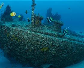 Curtain Artificial Reef Dive Site - C Tourism 1
