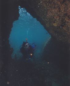 Tangalooma Wrecks Dive Site - C Tourism 1