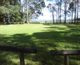 Aboriginal Bora Ring - C Tourism 0