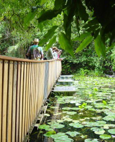 Koonorigan NSW C Tourism