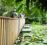 Rocky Creek Dam - C Tourism