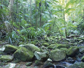 Rocky Creek Dam - C Tourism 5