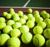 Old Bar Tennis Club - C Tourism