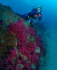 Aarhus Dive Site - C Tourism 2