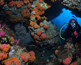 Cherubs Cave Dive Site - C Tourism 2