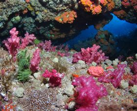 Cherubs Cave Dive Site - C Tourism 0
