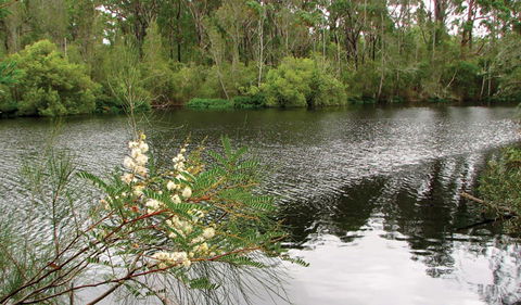 Wallingat National Park - C Tourism 0
