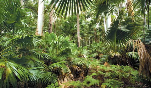 Wallingat National Park - C Tourism 3