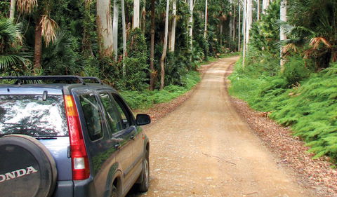 Wallingat National Park - C Tourism 2