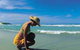 Diamond Beach - thumb 0