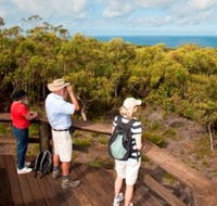 Naree Budjong Djara National Park - C Tourism