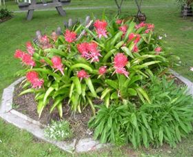 Moorlands Cottage And Gallery - C Tourism 2