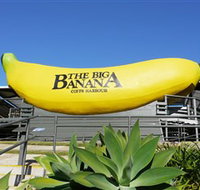 The Big Banana - C Tourism