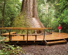 Herons Creek NSW C Tourism