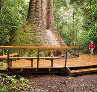 Burrawan State Forest - C Tourism