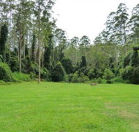 Kerewong State Forest - C Tourism