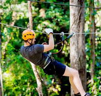 TreeTop Challenge Currumbin - C Tourism