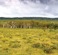 Yuraygir National Park - C Tourism