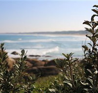 Cape Conran Nature Trail - C Tourism
