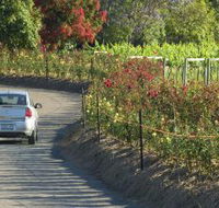 Cassegrain Wines - C Tourism