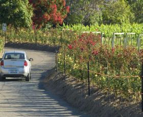 Cassegrain Wines - C Tourism 0