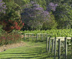 Cassegrain Wines - C Tourism 1