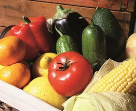 Summerland House Farm - House With No Steps - C Tourism 1