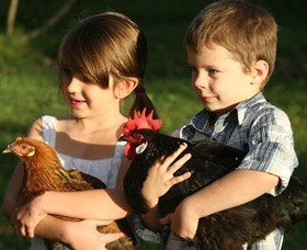 Summerland House Farm - House With No Steps - C Tourism 2