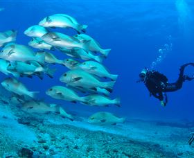 Flat Rock Dive Site - C Tourism 3