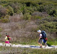 Yuraygir coastal walk - C Tourism