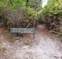 Angophora grove walking track - C Tourism