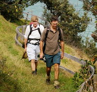 Illaroo to Wooli walking track - C Tourism
