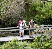 Wilsons Headland walking track - C Tourism