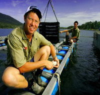 Armstrong Oysters - C Tourism