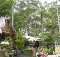 Diamond Waters Garden Nursery - C Tourism
