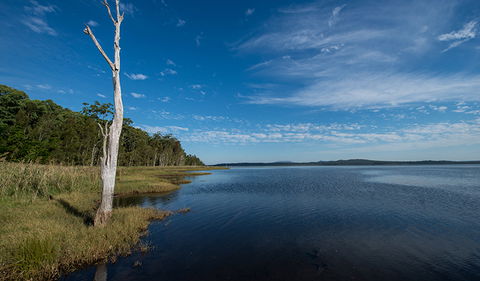 Lake Innes Nature Reserve - C Tourism 0