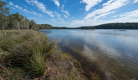 Lake Innes Nature Reserve - C Tourism 1