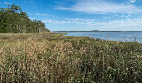 Lake Innes Nature Reserve - C Tourism 3