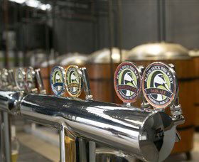 Black Duck Brewery - C Tourism 0