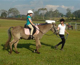 Port Macquarie Horse Riding Centre - C Tourism 0