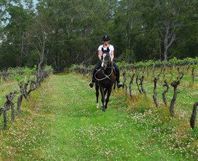 Port Macquarie Horse Riding Centre - C Tourism 1