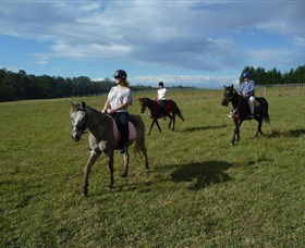 Port Macquarie Horse Riding Centre - C Tourism 5