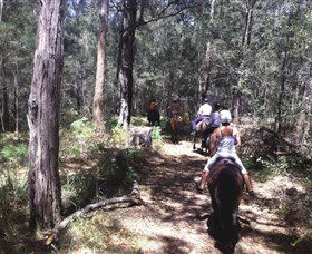 Port Macquarie Horse Riding Centre - C Tourism 4